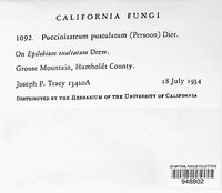 Image Associated With the Occurence